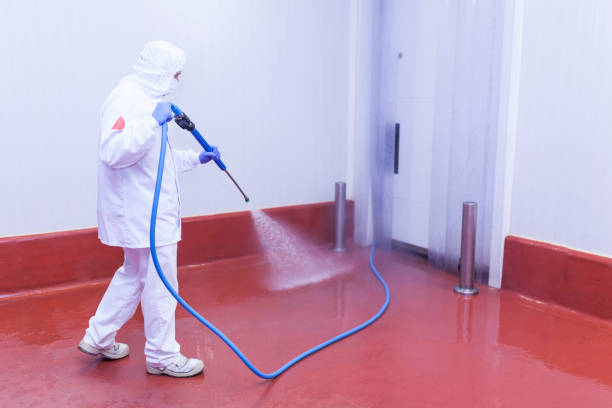 Best Boat and Dock Cleaning  in Woodbranch, TX