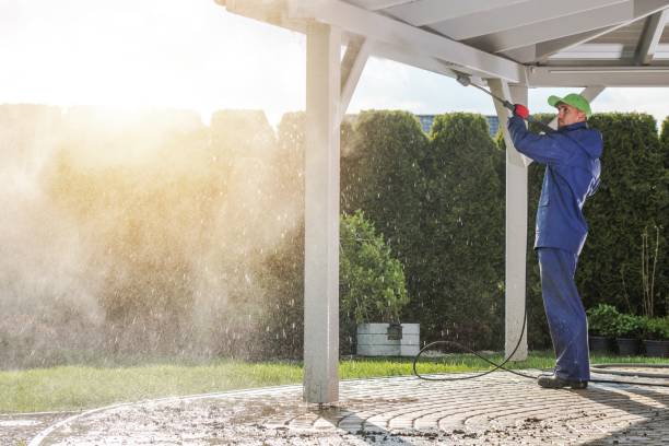 Best Pre-Holiday Cleaning  in Woodbranch, TX
